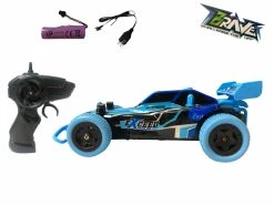 BRAVE CHALLENGE THE LIMIT RC Race Mini Buggy 1/24 2.4GHz